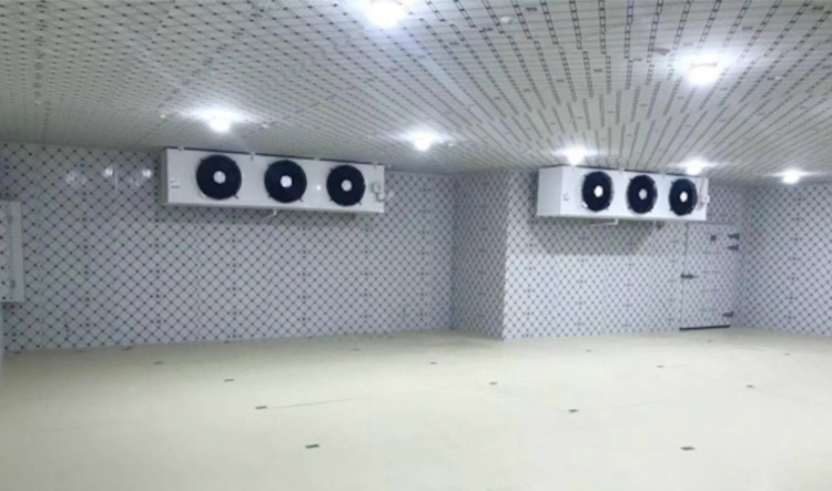 湛江國聯(lián)水產開發(fā)有限公司